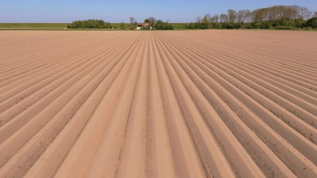 Aerial View of Planted Potato Field in Frisian Landscape &ndash; Netherlands