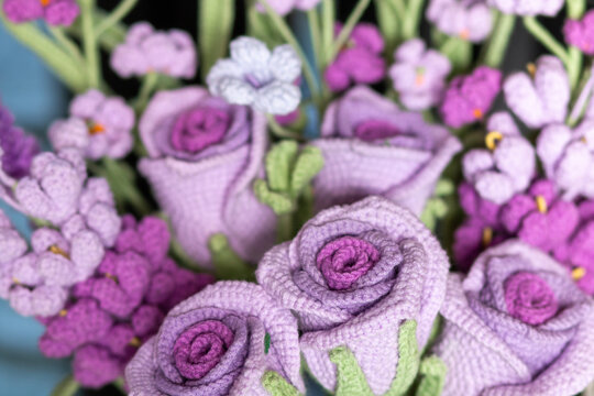 purple and pink flowers