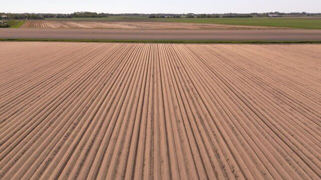 Aerial View of Planted Potato Field in Frisian Landscape &ndash; Netherlands