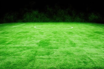 Empty soccer field at night, surrounded by dark trees