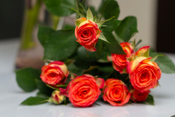 Obraz premium bouquet of red roses 