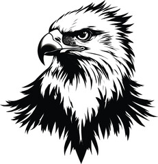  Vinyl Sticker – Bald Eagle Splash