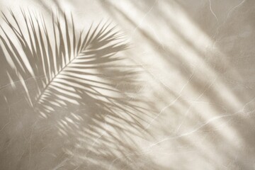 Light beige surface, shadow of a palm leaf.  Sunlight casts intricate pattern