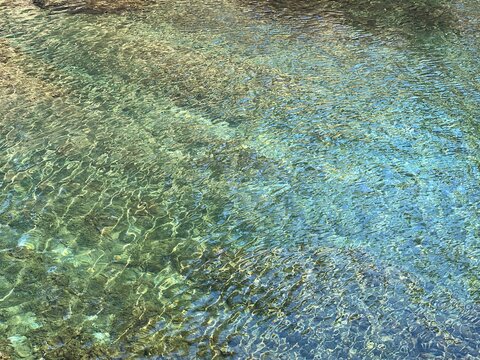 Green sea water surface natural background