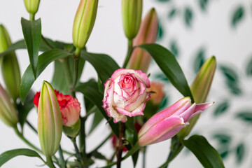 Naklejka premium a white cat with flowers on the table 