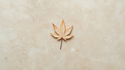A single, dried maple leaf rests on a beige textured background.