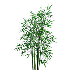 Obraz premium Bamboo Trees, Generative AI