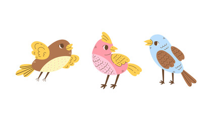 Colorful Birds Vector Set. Cartoon Hand drawn Whimsical Songbird Finch illustrations collection. Wildlife baby animals in Flat style. 