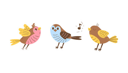 Whimsical Birds Vector Set. Cartoon Colorful Songbird Finch illustrations collection. Wildlife baby animals with feather wings in Flat style. 