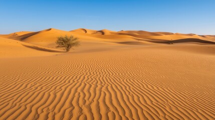 A lone tree stands in the middle of a vast desert, its silhouette contrasting against the golden sand.