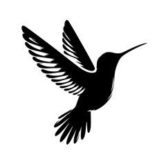 Beautiful hummingbird silhouette