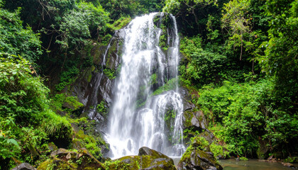 Obraz premium stunning waterfall cascades down rocky cliffs, surrounded by lush green foliage and vibrant vegetation, creating serene and tranquil atmosphere in nature