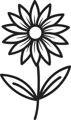Arnica icon line art vector on transparent background