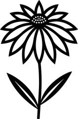 Coneflower (Echinacea) icon line art vector on transparent background