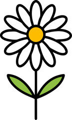 Oxeye Daisy icon line art vector on transparent background