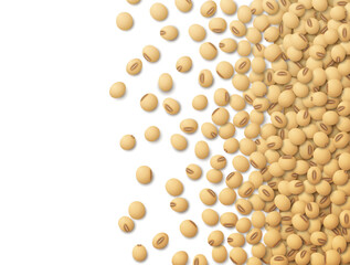 Raw soybeans scattered on right side of artboard, top view. Background of organic soy grain with copy space area. Vector image for soya, vegetarian diet, legume farming, gastronomy, healthy food, etc