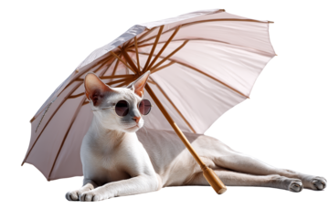 Playful cat in sunglasses relaxing under umbrella cozy indoor setting pet photography charming atmosphere whimsical vibe