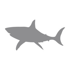 Shark vector silhouette on transparent background