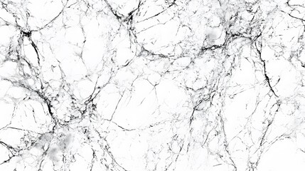 Detailed closeup view of intricate white and dark gray marble texture.