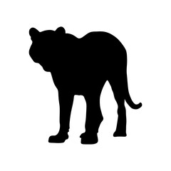 Tiger vector silhouette on transparent background