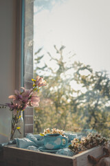 Cup of tea on a windowsill with blooming spring trees outside, soft blue fabric, cherry blossoms, and an open book, bathed in warm sunset light