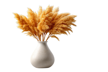 Elegant dried pampas grass arrangement modern home decor still life photography bright interior close-up nature's beauty
