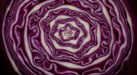 Obraz premium Concentric Swirls Of Cut Red Cabbage Displaying Intricate Layers And Texture