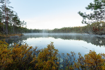 Herbststille am See – Kiefernwald im Tiveden Nationalpark, Schweden