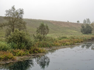 the bank of a small river in spring