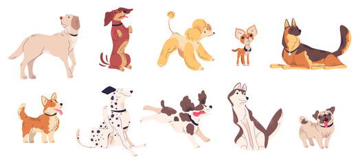 Fototapeta na wymiar Adorable puppies breeds. Cartoon cute dog puppy different canine breed collection, funny pet domestic animal labrador doggy dachshund poodle chihuahua, classy vector illustration