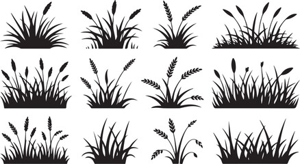 Collection of grass clump silhouettes ideal for nature landscape and garden designs