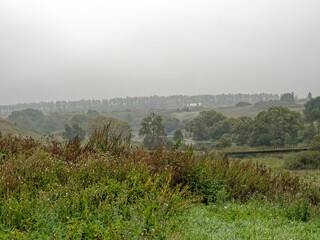 the bank of a small river in spring