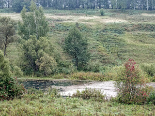 the bank of a small river in spring