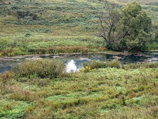 the bank of a small river in spring