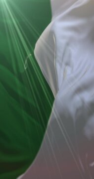 Flag of the federal state of Saxony in Germany. Loop. 4K Vertical