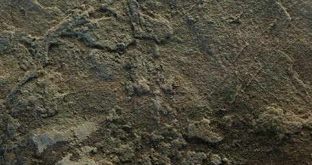 Close-up of coarse sandstone with grainy texture and scattered erosion pits