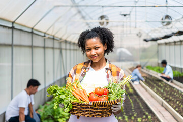 Young men and women works at vegetables garden. Farmers show off their produce in their organic farms.