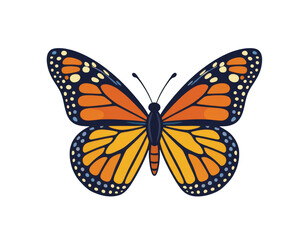 Vibrant Butterfly, Orange and Blue, Transparent Background