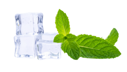 Fresh mint leaves and ice cubes create refreshing visual, perfect for summer drinks or cocktails. clear ice contrasts beautifully with vibrant green of mint, evoking sense of coolness
