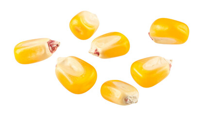 Fresh corn kernels are vibrant yellow, showcasing their natural sweetness and crisp texture. These kernels are perfect for various dishes, adding flavor and nutrition to meals