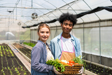Young men and women works at vegetables garden. Farmers show off their produce in their organic farms.