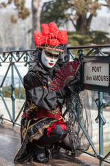 Disguised Person - Annecy Venetian Carnival 2013