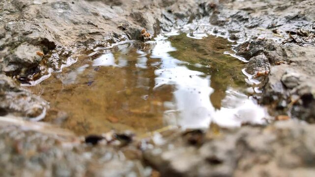 Close-up of rainwater moved by the wind in a weathered rock basin in nature