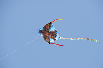 Bird Kite Soaring High in a Clear Blue Sky