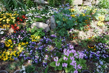 A vibrant spring garden bursting with colorful wildflowers smooth river rocks and lush green foliage