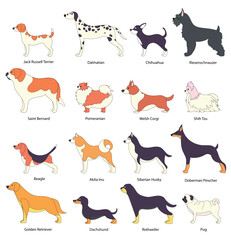 Flat style dog breed collection featuring various cute dogs, perfect for pet, vet, and animal-themed designs.