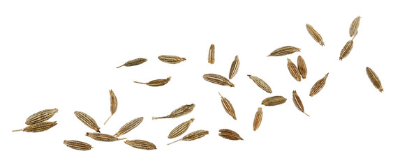 Scattered cumin isolated on a transparent background. Completely in focus. Full depth of field. Top view. PNG.