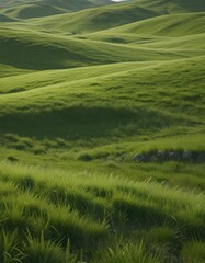 Deep green rolling hills, blades of grass close-up,  outdoors,  texture,  growth