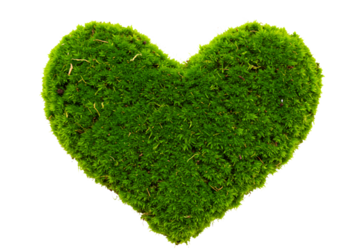 Green Moss Heart Isolated on Transparent Background