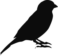 Sparrow SilhoutteVector EPS Black Silhouette of a Perched Bird - Minimalistic Wildlife Illustration for Design and Art Projects